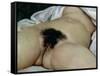 The Origin of the World, 1866-Gustave Courbet-Framed Stretched Canvas