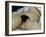 The Origin of the World, 1866-Gustave Courbet-Framed Giclee Print