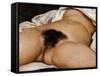 The Origin of the World-Gustave Courbet-Framed Stretched Canvas