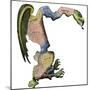 The Original Gerrymander - Massachusetts Towns Formed into a Salamander-Shaped District-null-Mounted Giclee Print