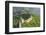 The Original Mutianyu Section of the Great Wall, Beijing, China-Michael DeFreitas-Framed Photographic Print