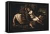 The Original Sin - Painting, 1550-1553-Domenico Robusti Tintoretto-Framed Stretched Canvas