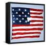 The Original Star-Spangled Banner-null-Framed Stretched Canvas