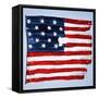 The Original Star-Spangled Banner-null-Framed Stretched Canvas