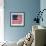 The Original Star-Spangled Banner-null-Framed Giclee Print displayed on a wall
