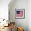 The Original Star-Spangled Banner-null-Framed Giclee Print displayed on a wall