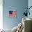 The Original Star-Spangled Banner-null-Mounted Giclee Print displayed on a wall