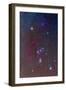 The Orion Constellation-null-Framed Premium Photographic Print