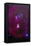 The Orion Nebula, Belt of Orion, Sword of Orion and Nebulosity-null-Framed Stretched Canvas