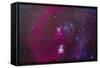 The Orion Nebula, Belt of Orion, Sword of Orion and Nebulosity-null-Framed Stretched Canvas