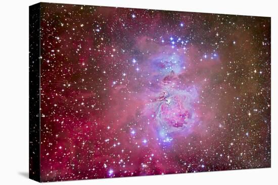 The Orion Nebula Region-Stocktrek Images-Stretched Canvas