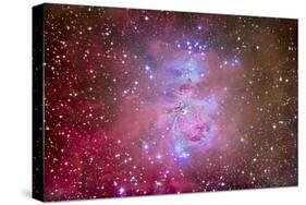 The Orion Nebula Region-Stocktrek Images-Stretched Canvas