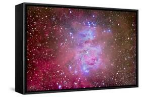 The Orion Nebula Region-Stocktrek Images-Framed Stretched Canvas