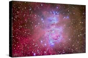 The Orion Nebula Region-Stocktrek Images-Stretched Canvas