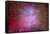 The Orion Nebula Region-Stocktrek Images-Framed Stretched Canvas