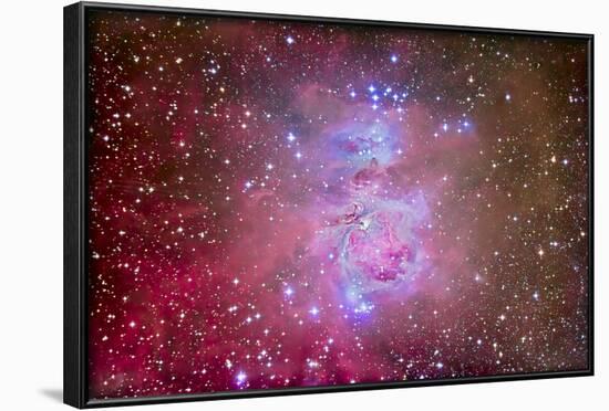 The Orion Nebula Region-Stocktrek Images-Framed Photographic Print