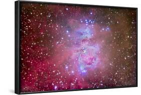 The Orion Nebula Region-Stocktrek Images-Framed Photographic Print