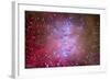 The Orion Nebula Region-Stocktrek Images-Framed Photographic Print