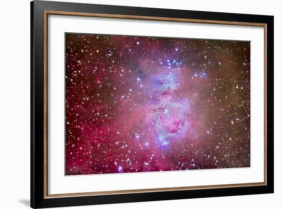 The Orion Nebula Region-Stocktrek Images-Framed Photographic Print