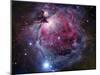 The Orion Nebula-Stocktrek Images-Mounted Premium Photographic Print