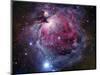 The Orion Nebula-Stocktrek Images-Mounted Photographic Print