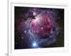 The Orion Nebula-Stocktrek Images-Framed Photographic Print