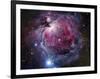 The Orion Nebula-Stocktrek Images-Framed Photographic Print