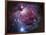 The Orion Nebula-Stocktrek Images-Framed Photographic Print