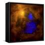 The Orion Nebula-Stocktrek Images-Framed Stretched Canvas