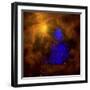 The Orion Nebula-Stocktrek Images-Framed Premium Photographic Print