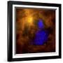 The Orion Nebula-Stocktrek Images-Framed Photographic Print