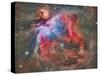 The Orion Nebula-Stocktrek Images-Stretched Canvas