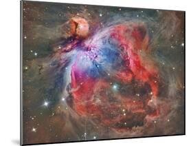 The Orion Nebula-Stocktrek Images-Mounted Premium Photographic Print