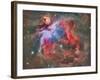 The Orion Nebula-Stocktrek Images-Framed Photographic Print