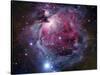 The Orion Nebula-Stocktrek Images-Stretched Canvas