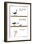 The Ostrich-Reza Farazmand-Framed Art Print