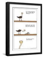 The Ostrich-Reza Farazmand-Framed Art Print