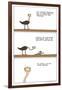 The Ostrich-Reza Farazmand-Framed Art Print