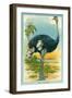 The Ostrich-null-Framed Art Print