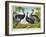 The Ostrich-null-Framed Giclee Print