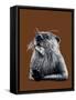 The Otter on Burnt Orange, 2020, (Pen and Ink)-Mike Davis-Framed Stretched Canvas