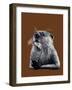 The Otter on Burnt Orange, 2020, (Pen and Ink)-Mike Davis-Framed Giclee Print