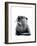 The Otter on White, 2020, (Pen and Ink)-Mike Davis-Framed Giclee Print