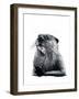 The Otter on White, 2020, (Pen and Ink)-Mike Davis-Framed Giclee Print