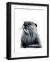 The Otter on White, 2020, (Pen and Ink)-Mike Davis-Framed Giclee Print