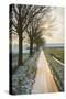 The Oude Trambaan Tree Lined Cycle Path, Rijsbergen, North Brabant, The Netherlands (Holland)-Mark Doherty-Stretched Canvas