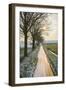 The Oude Trambaan Tree Lined Cycle Path, Rijsbergen, North Brabant, The Netherlands (Holland)-Mark Doherty-Framed Photographic Print