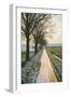 The Oude Trambaan Tree Lined Cycle Path, Rijsbergen, North Brabant, The Netherlands (Holland)-Mark Doherty-Framed Photographic Print