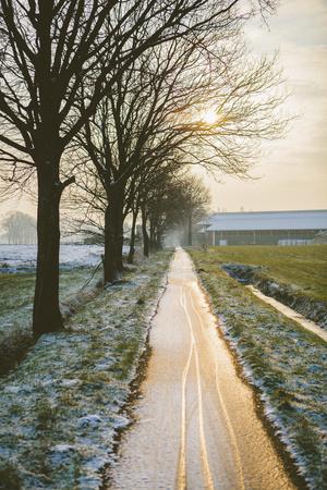 https://imgc.allpostersimages.com/img/posters/the-oude-trambaan-tree-lined-cycle-path-rijsbergen-north-brabant-the-netherlands-holland_u-L-PIB0Y70.jpg?artPerspective=n