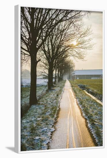 The Oude Trambaan Tree Lined Cycle Path, Rijsbergen, North Brabant, The Netherlands (Holland)-Mark Doherty-Framed Photographic Print